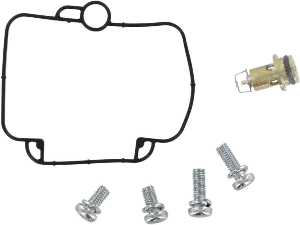 Carburetor Repair Kit
