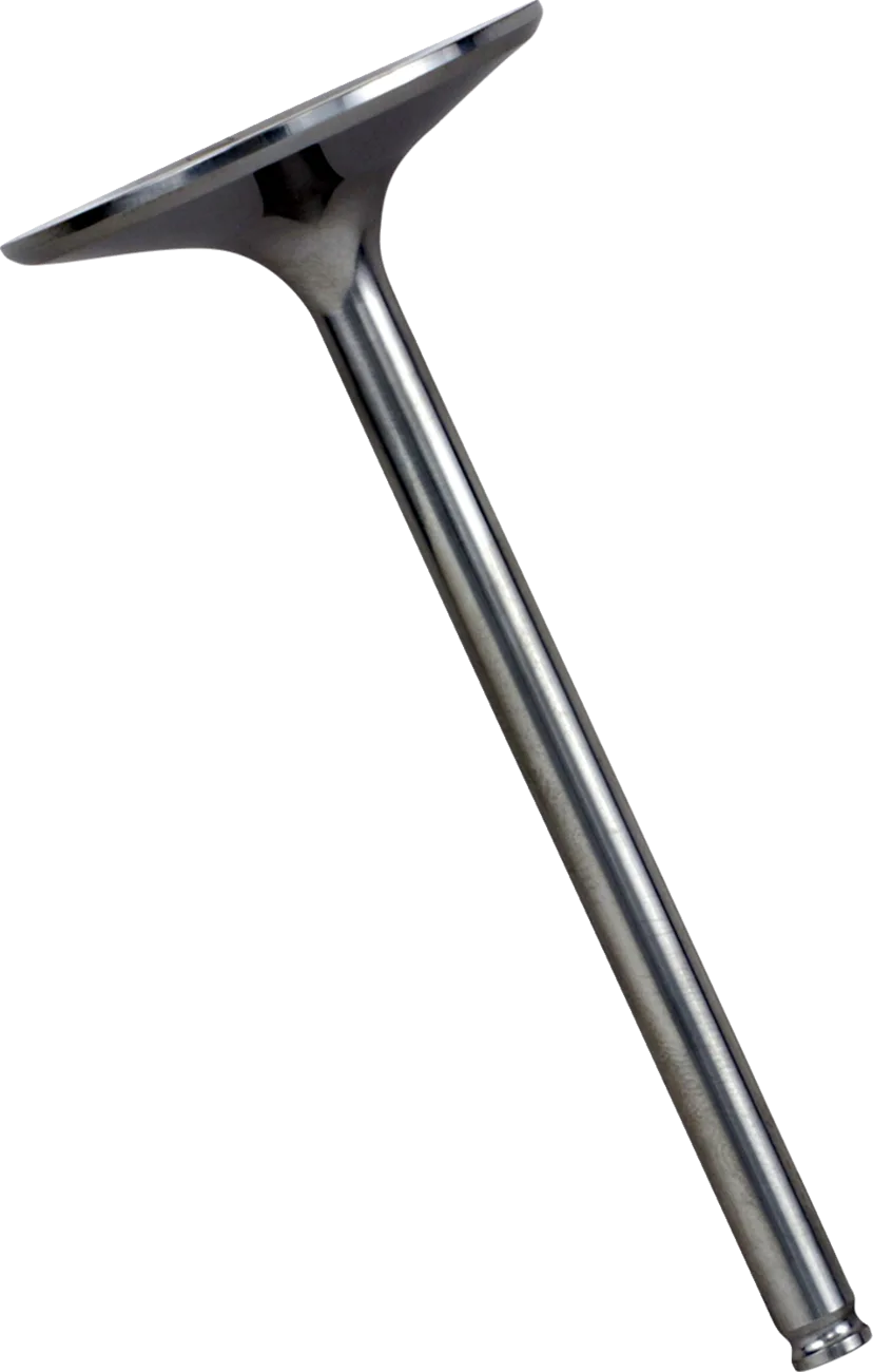 Intake Valve
