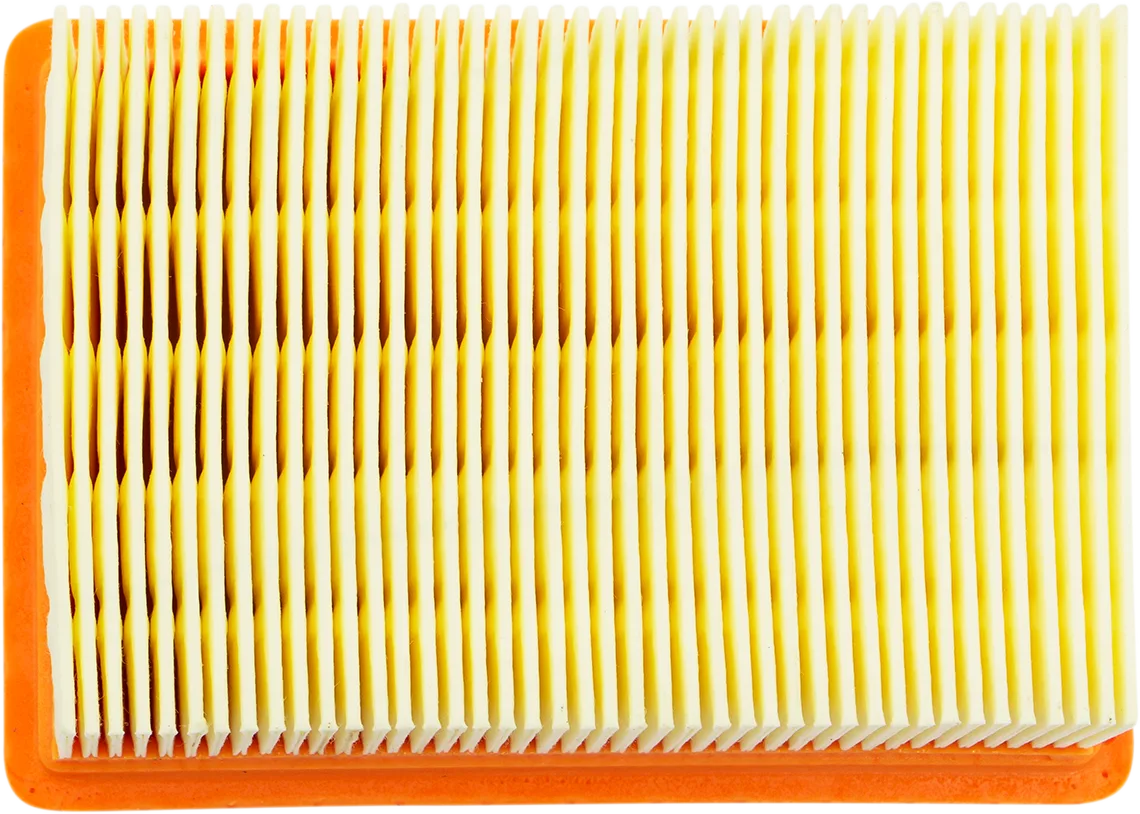 Scooter Air Filter