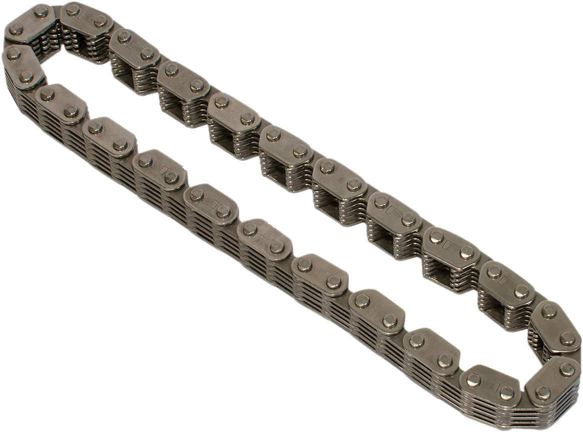 Cam Chain