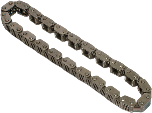 Cam Chain