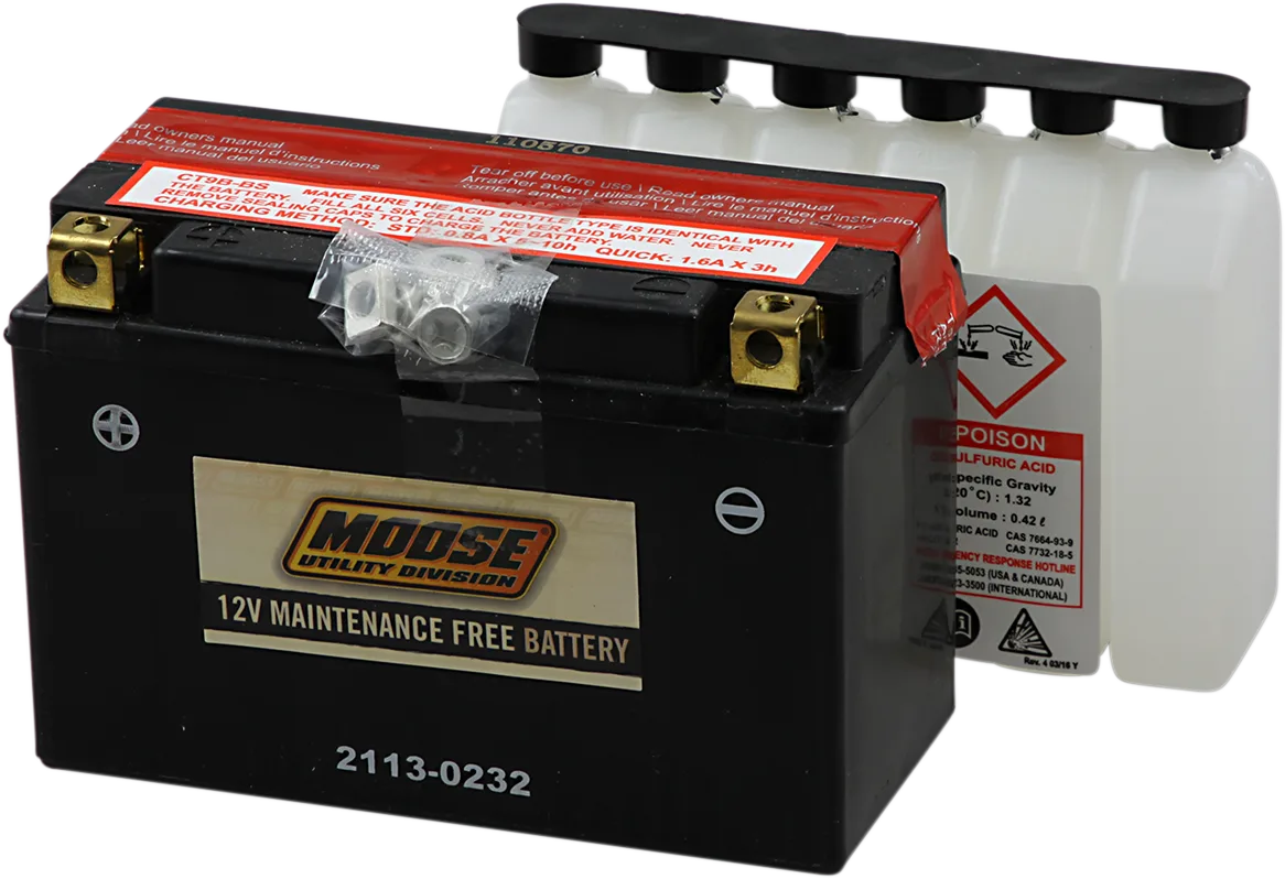 AGM Maintenance-Free Battery