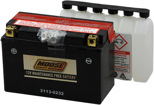 AGM Maintenance-Free Battery