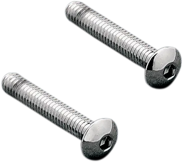 Taillight Lens Screw Kit