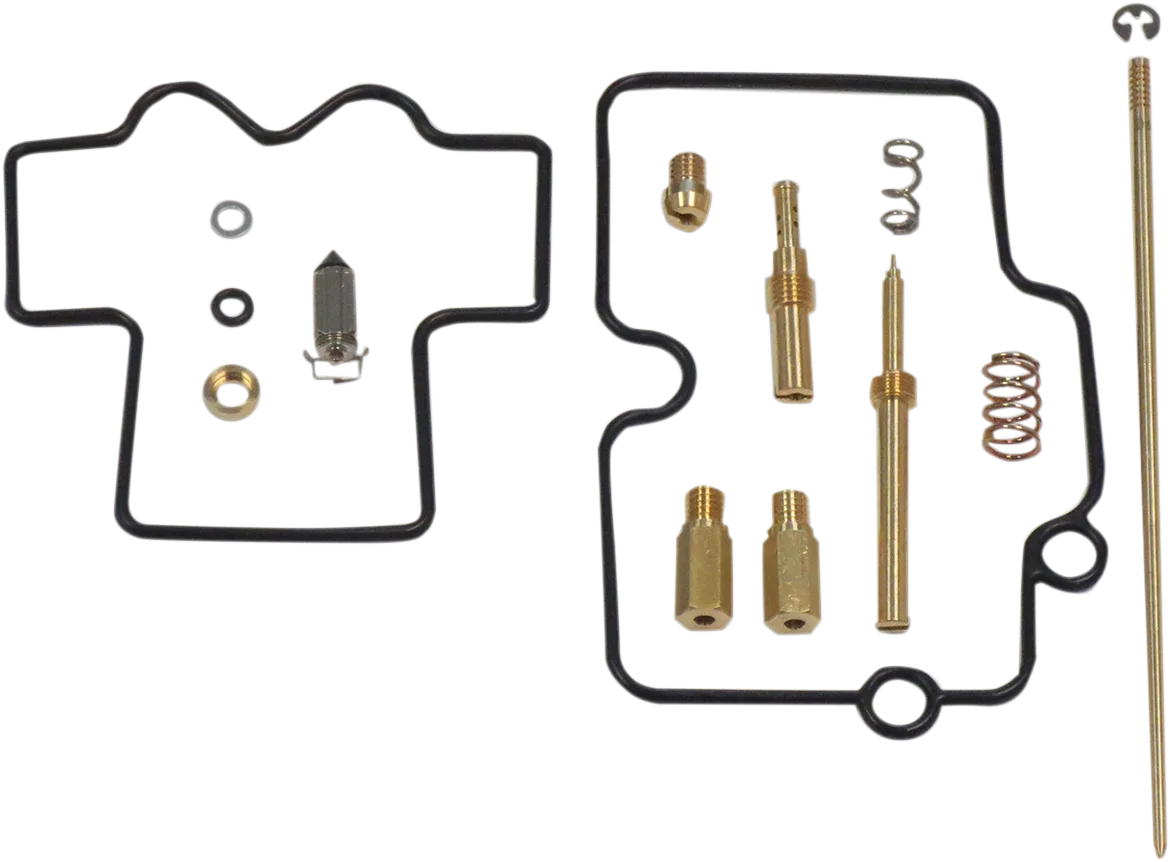 Carburetor Repair Kit