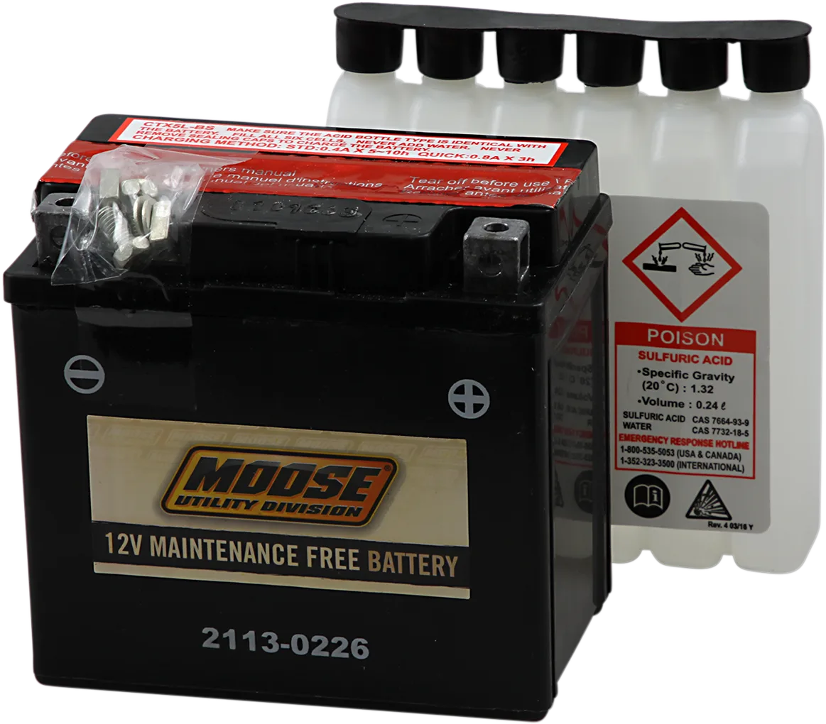AGM Maintenance-Free Battery