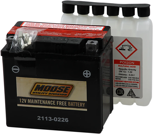 AGM Maintenance-Free Battery