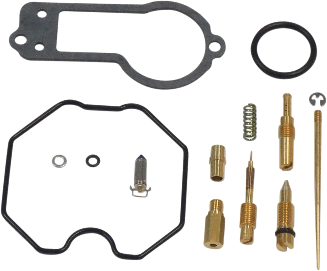 Carburetor Repair Kit