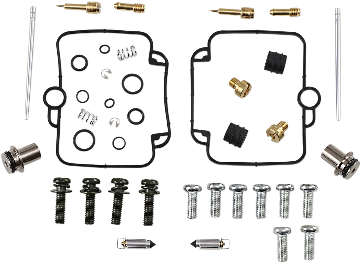 Carburetor Repair Kit