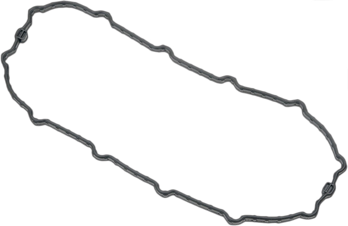 Fuel Pump Door Gasket