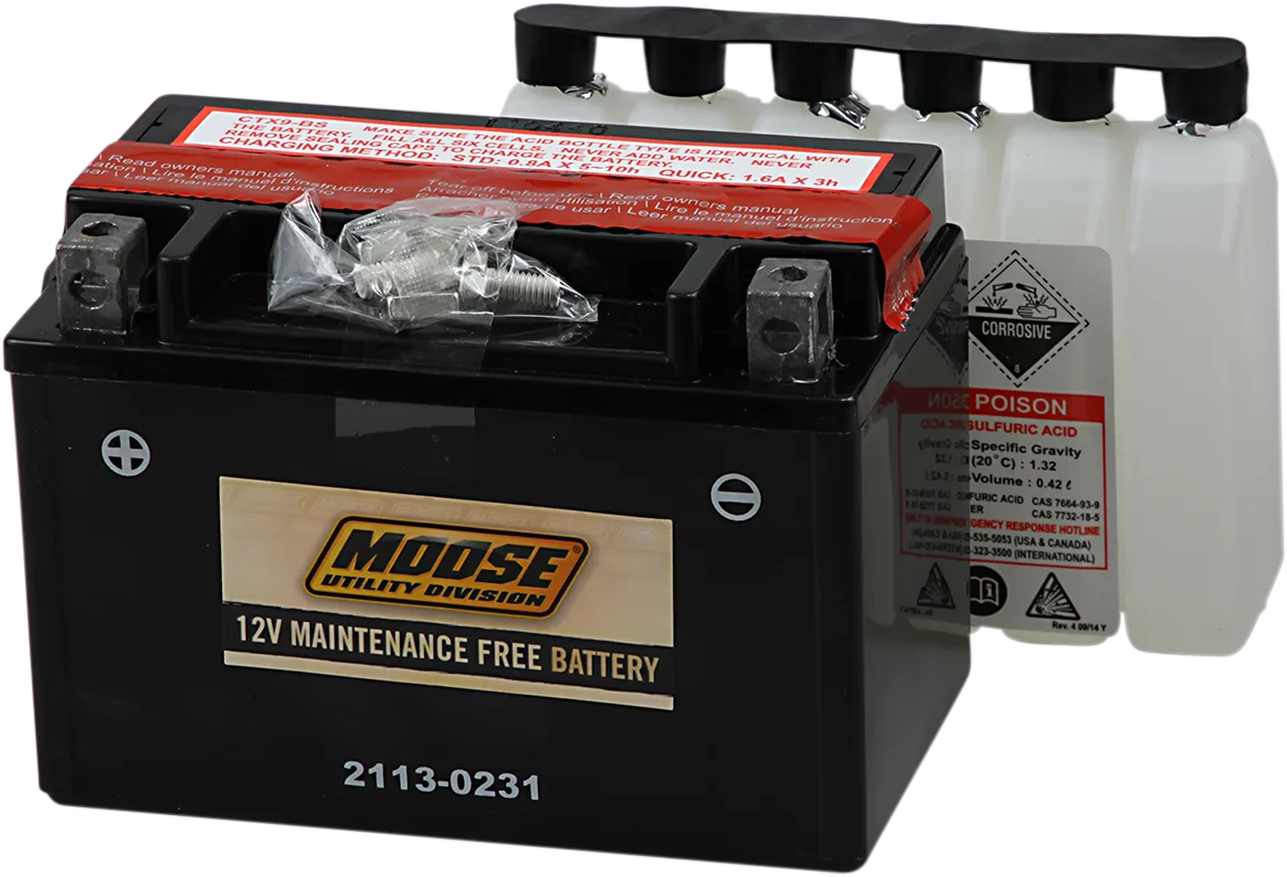 AGM Maintenance-Free Battery
