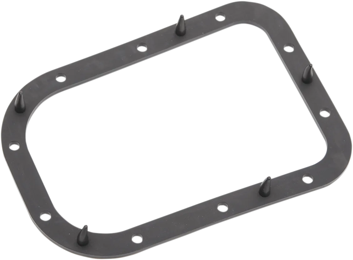 Fuel Pump Door Seal