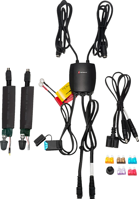 Dual-Zone Permanent Temperature Controller