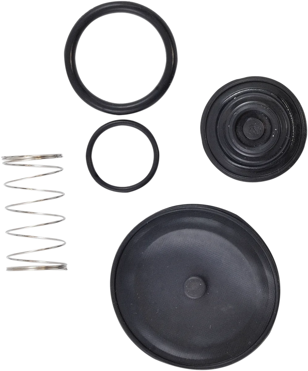 Fuel Petcock Rebuild Kit