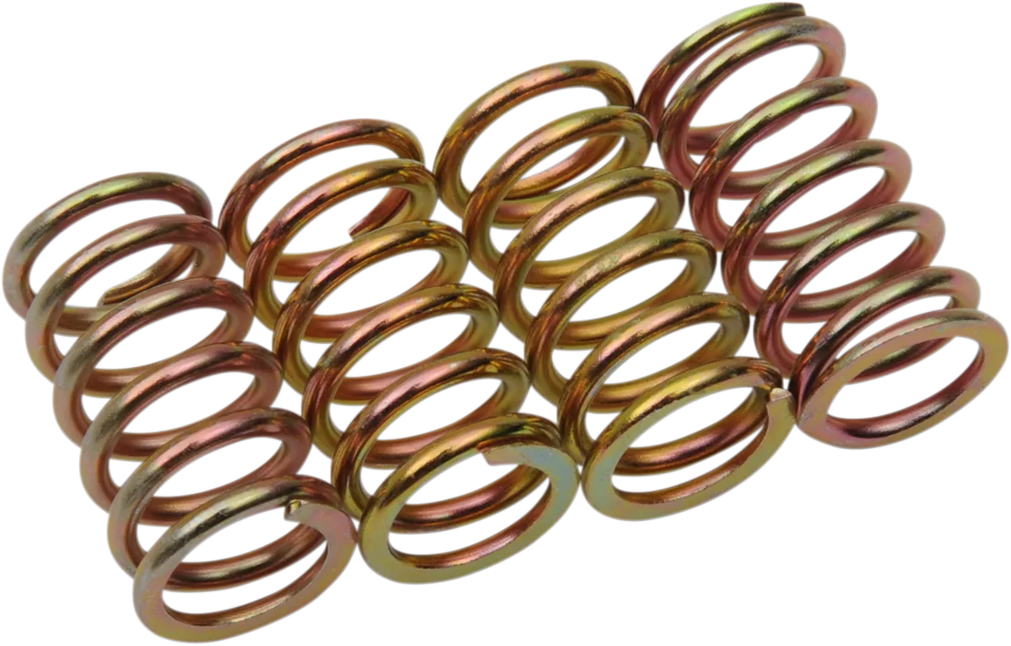 Clutch Spring Kit