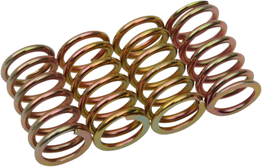 Clutch Spring Kit