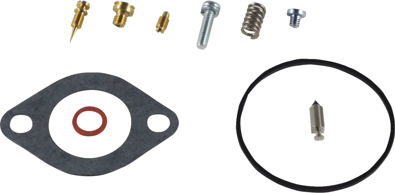 Carburetor Repair Kit