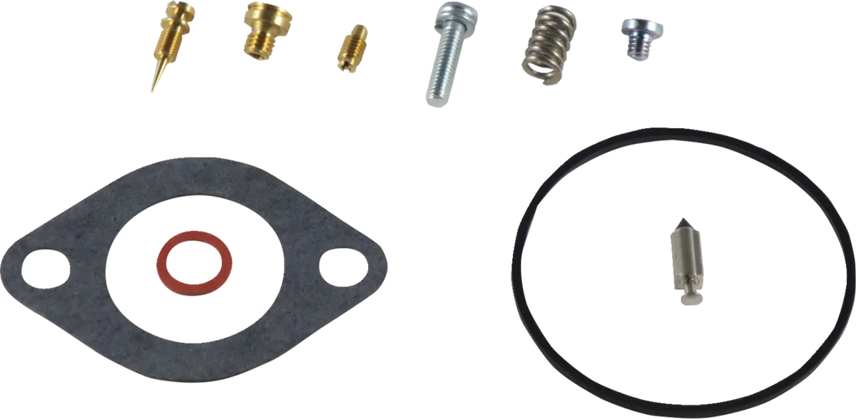 Carburetor Repair Kit