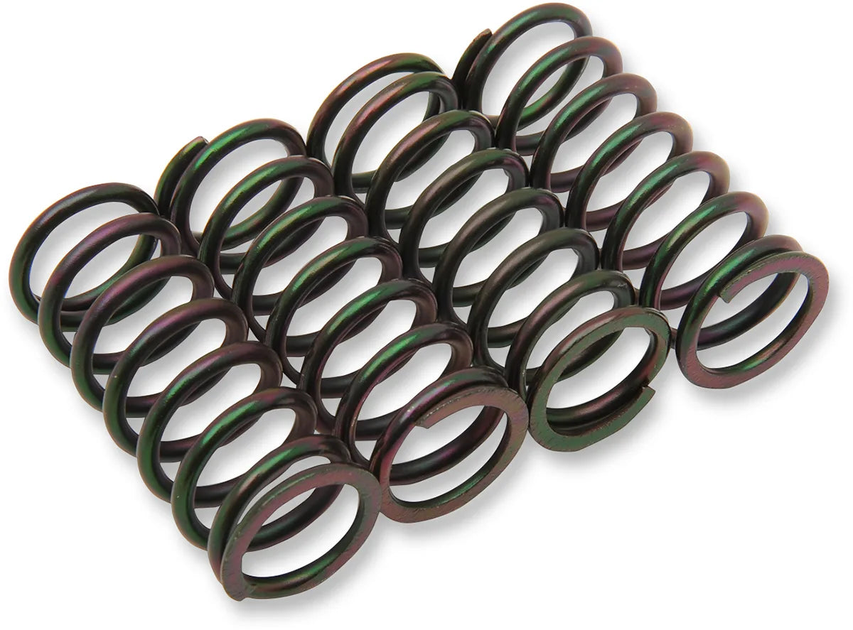 Clutch Spring Kit