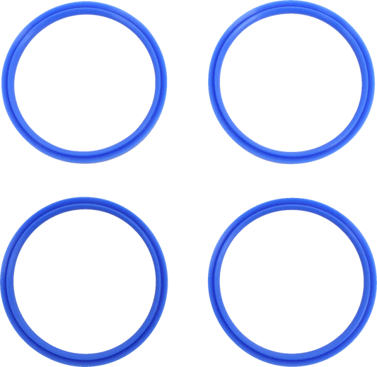Fuel Cap Seal