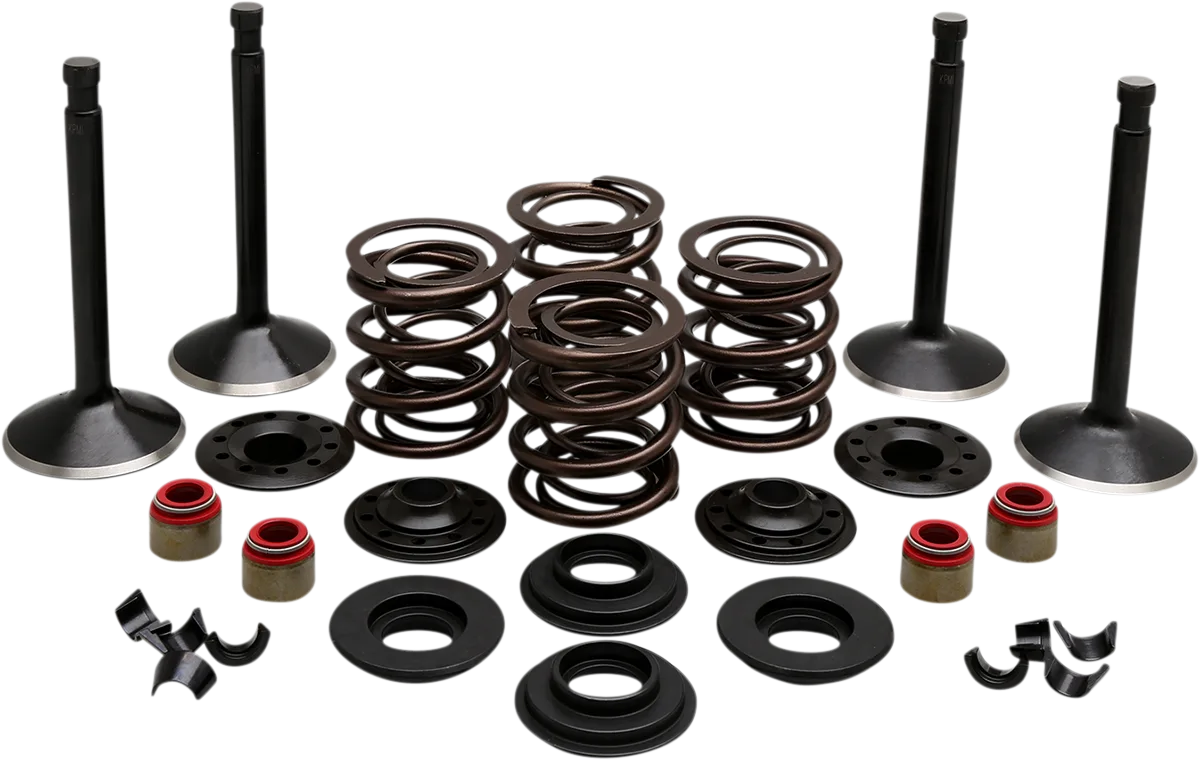 Engine Valve Kit