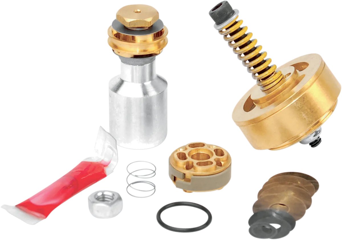 Gold Valve Fork Kit