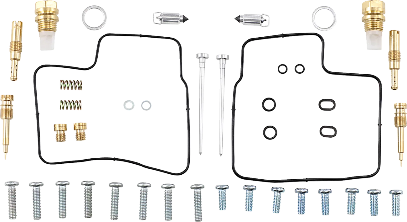 Carburetor Repair Kit