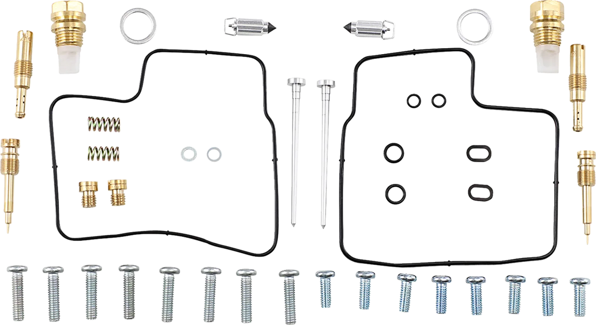 Carburetor Repair Kit