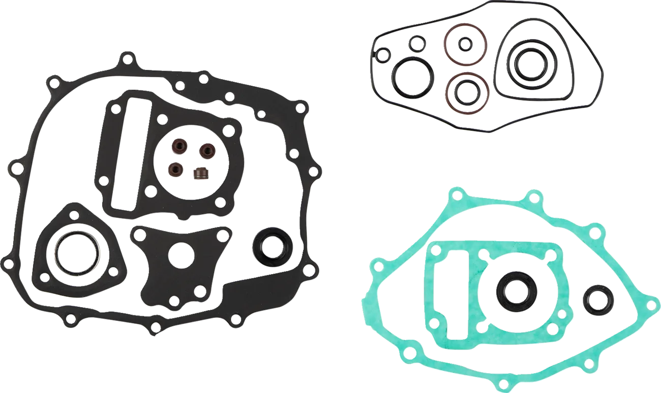 Gasket Kit with Oil Seal