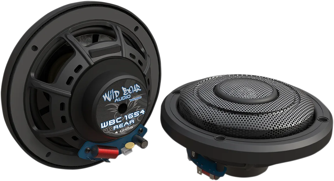Rear Speakers