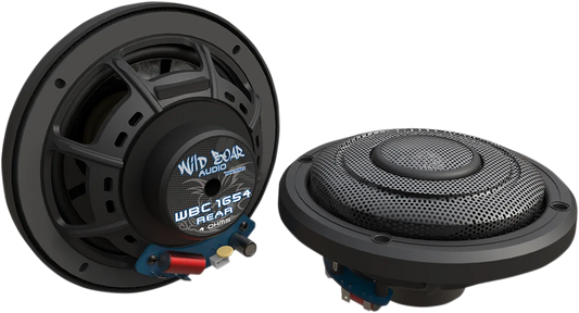 Rear Speakers