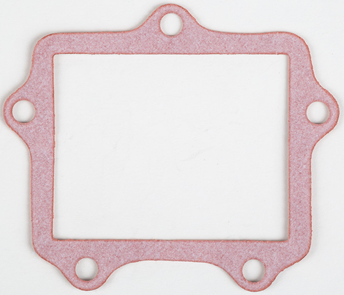 Rad Valve Gasket