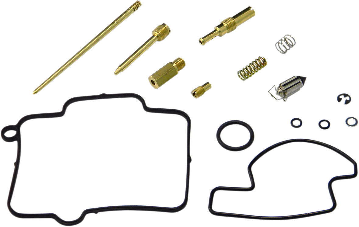 Carburetor Repair Kit