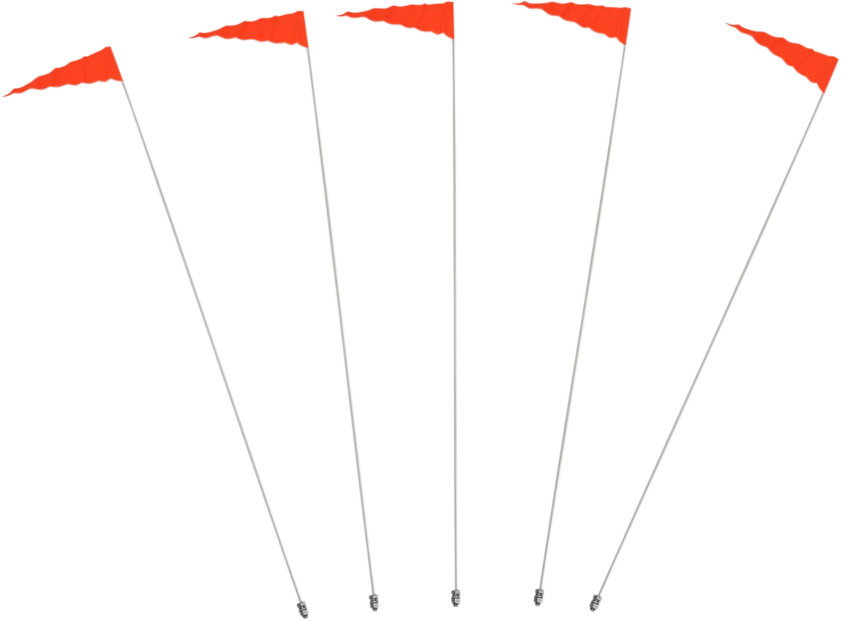 Flag with Fiberglass Pole