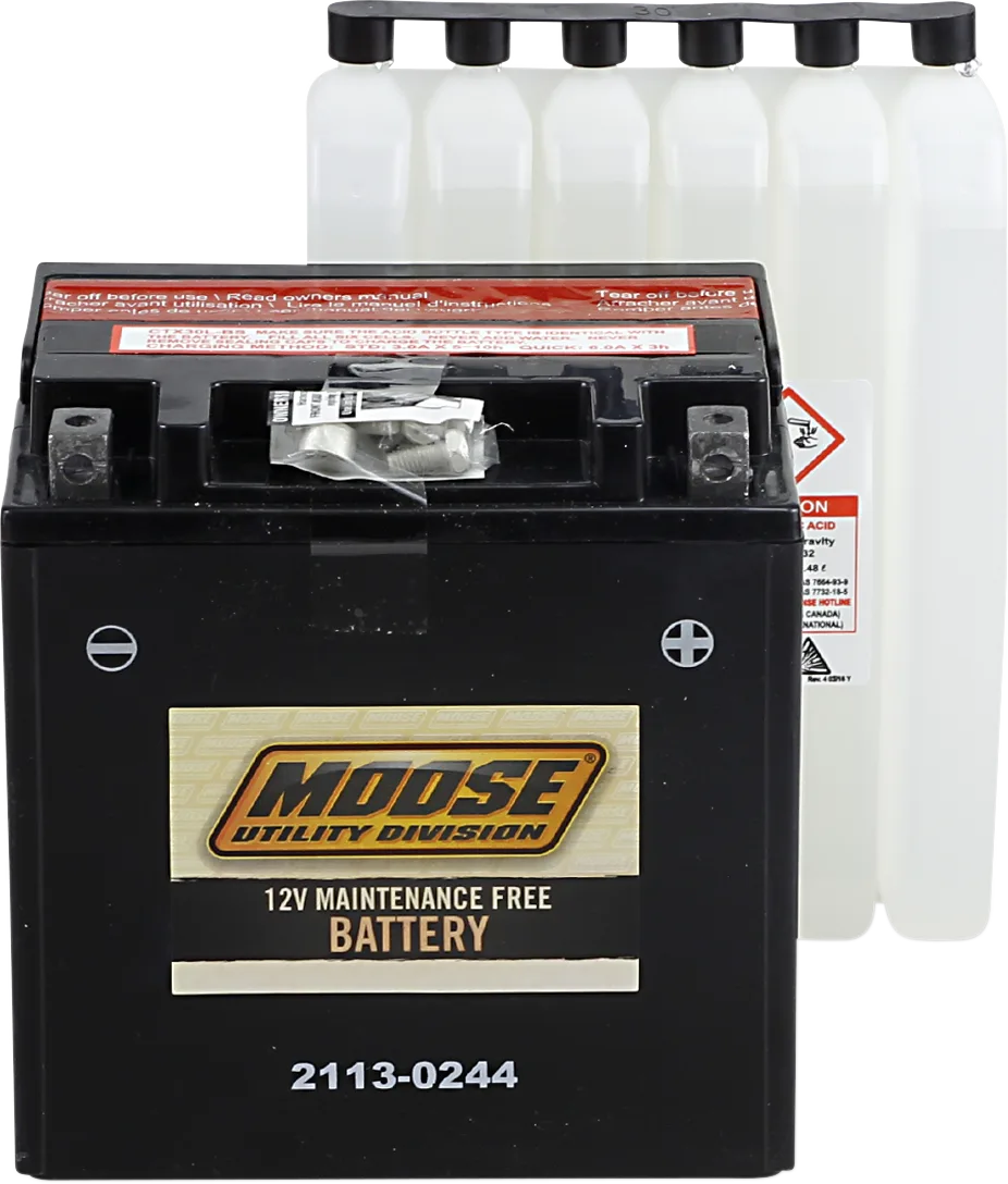 AGM Maintenance-Free Battery