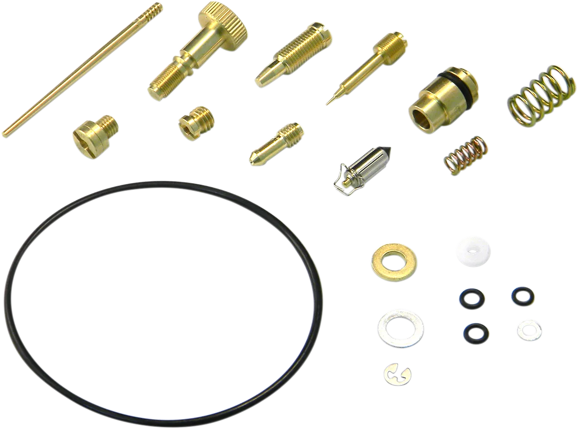 Carburetor Repair Kit