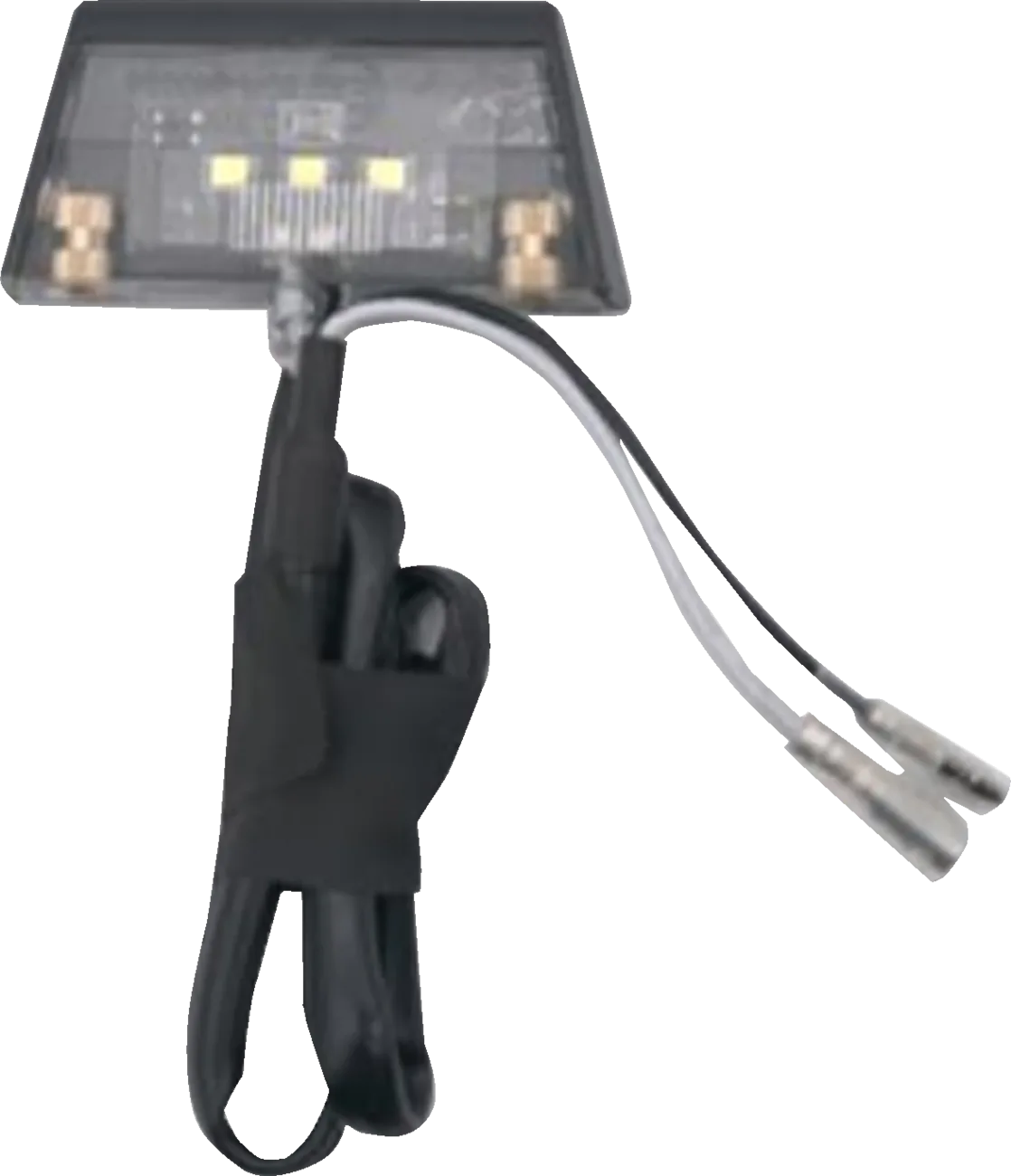 License Plate Light