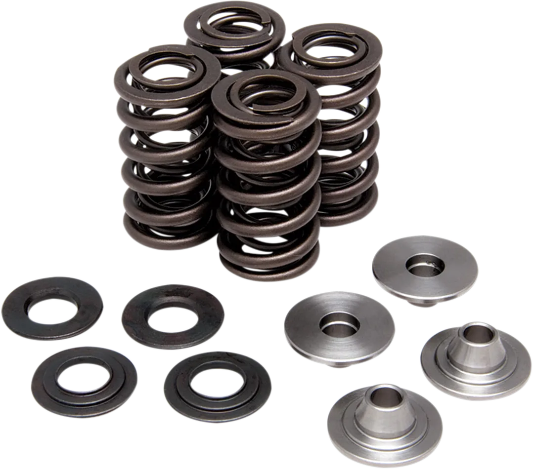 Valve Spring Kit