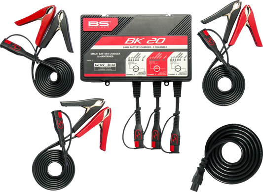 BK20 Smart Bank Battery Charger and Maintainer with Reconditioning Function