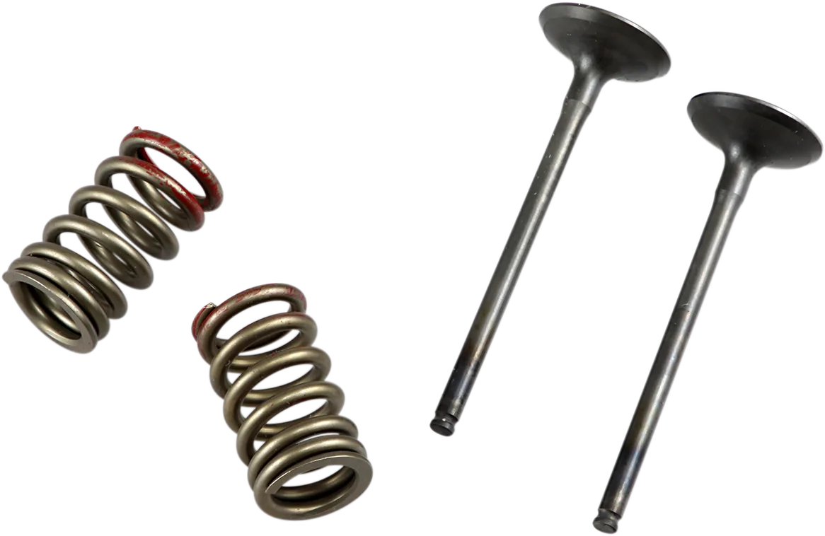 Valve and Spring Kit