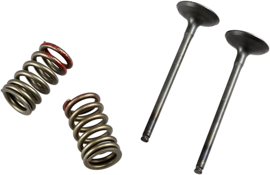 Valve and Spring Kit
