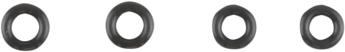Induction Module O-Ring