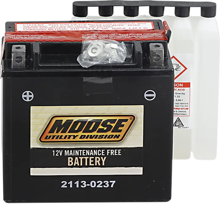 AGM Maintenance-Free Battery