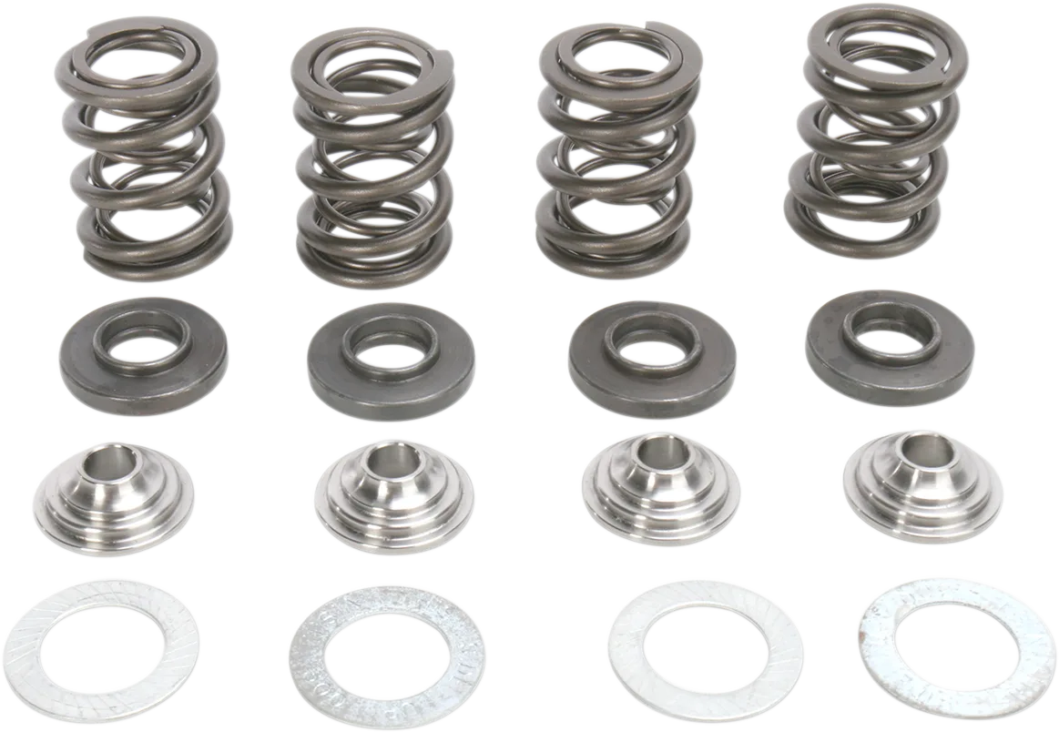 Valve Spring Kit