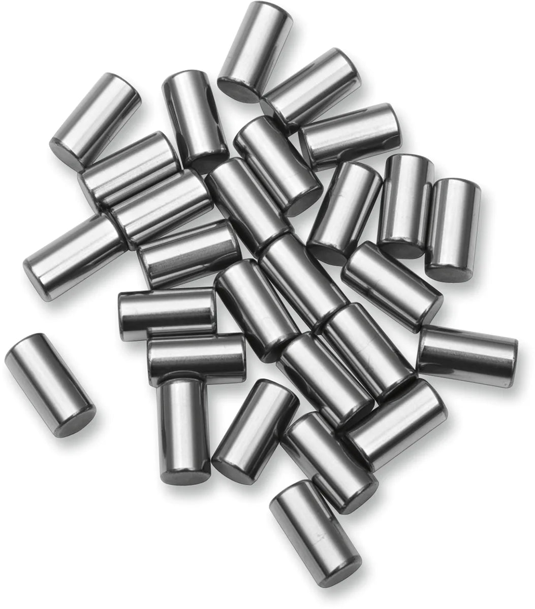 Crankcase Roller Bearings