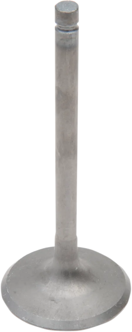 Engine Valves
