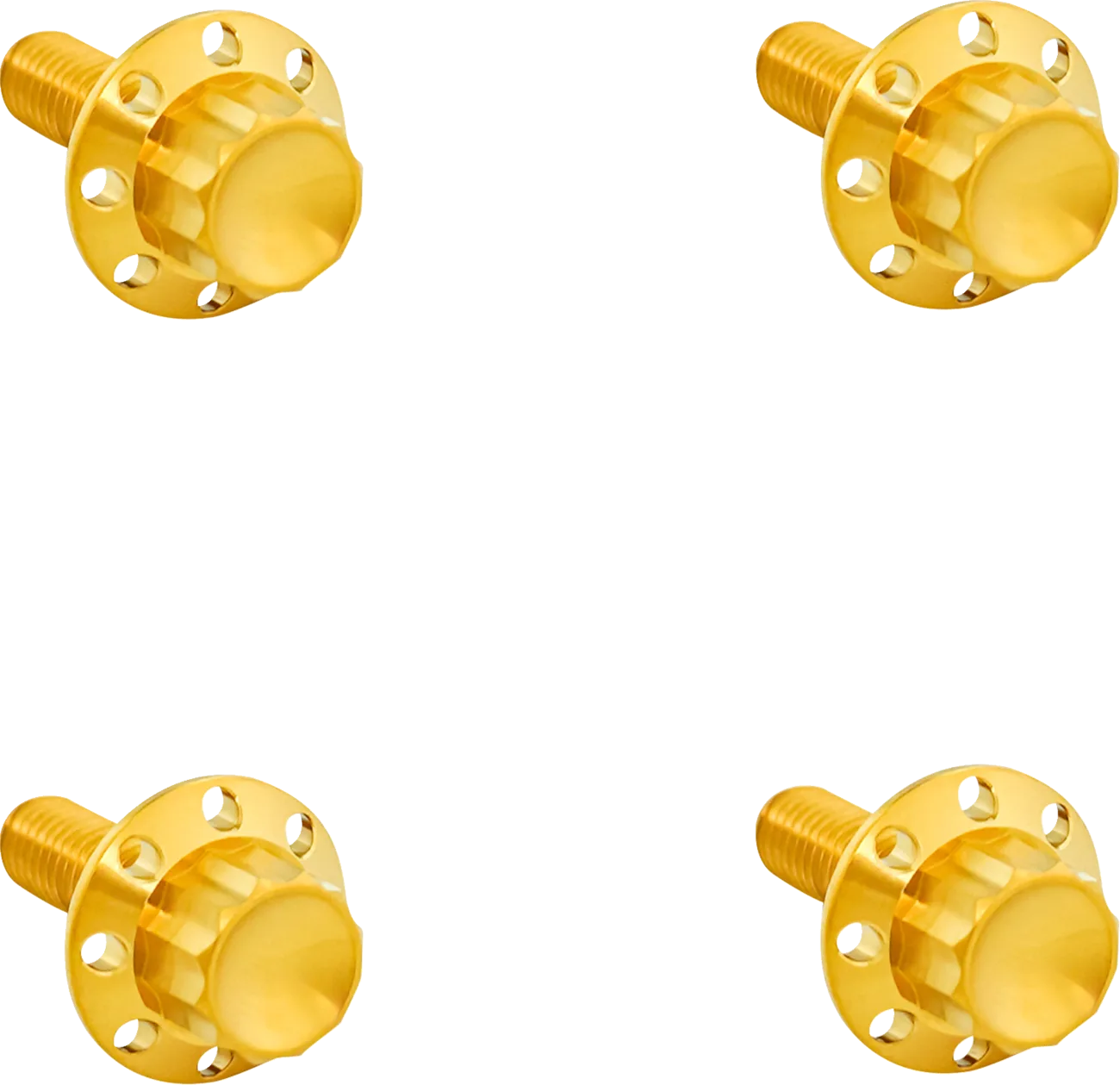 Titanium 12-Point Windshield Bolts