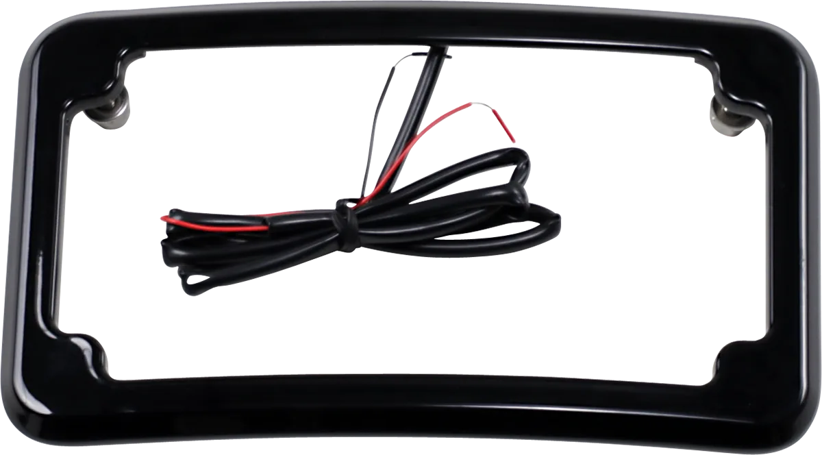 Beveled License Plate with Lights