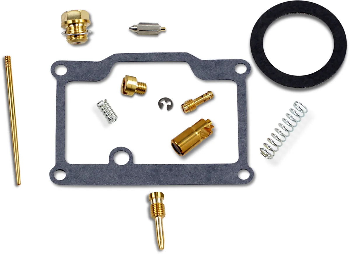Carburetor Repair Kit