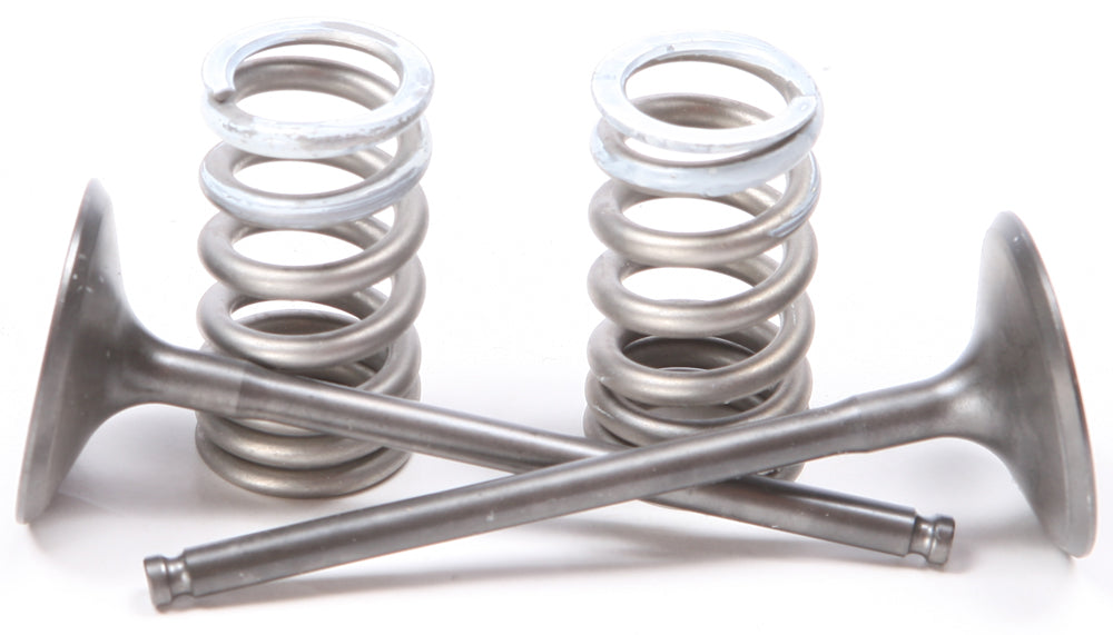 Steel Intake Spring Kit